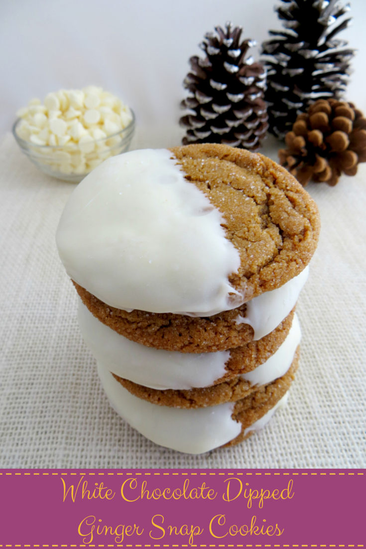 White Chocolate Dipped Ginger Snap Cookies AnnMarie John LLC A